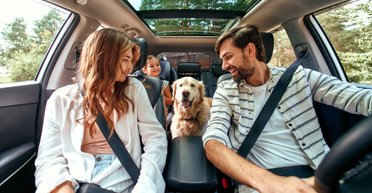 Найнижчі ціни на продукти та відпочинок: у яких країнах ЄС найдешевше жити