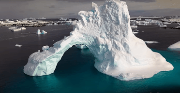 Фильм "Антарктида": в кинотеатрах покажут ленту Птушкина об украинских полярниках (трейлер)