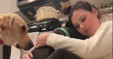 Жінка вирушила у відпустку, а повернувшись побачила "зруйнований будинок" (відео)