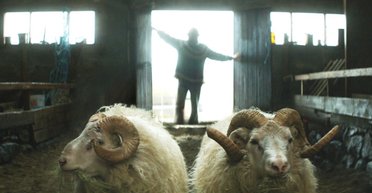Молчание ягнят. Зачем смотреть фильм "Бараны"