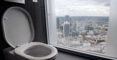 "Не судіть мене": жінка з Великої Британії придумала незвичайний спосіб чищення унітаза (відео)