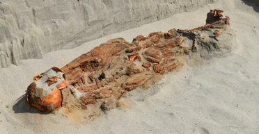 В гробнице в Перу нашли связанные скелеты: веревки были на их шее и руках (фото)