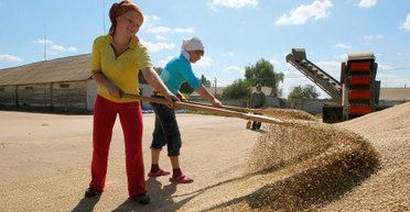 Рік достатку. Яким був 2021-й для українського АПК і які плани аграрії будують на 2022 рік