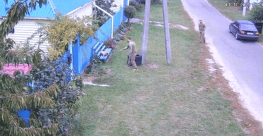 "Мобилизация кота": Киевский ТЦК отреагировал на обвинения в похищении животного