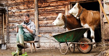 Где растет прибыль. Чем заняться в сельском хозяйстве, чтобы заработать наверняка, быстро и много