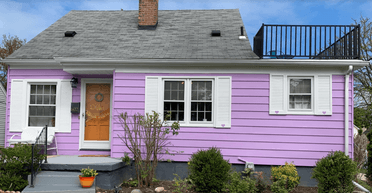 "Боже мій": подружжя обрало незвичний колір для фарбування будинку і здивувало сусідів (фото)