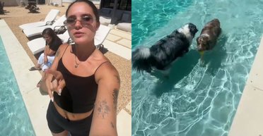 Живуть як королі: жінка орендувала цілу віллу заради своїх собак