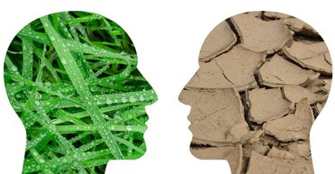 Правила боя. Удастся ли ООН "оживить" Парижское климатическое соглашение