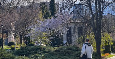 Украина сообщила Евросовету о временном отступлении от конвенции по правам человека: детали