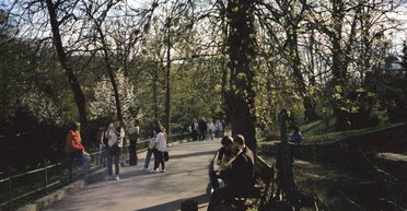 Все тело чешется и пухнет: киевляне массово жалуются на нашествие неизвестных насекомых