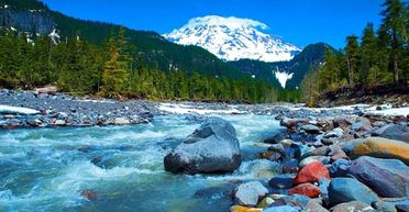 Жінка втамувала спрагу біля струмка, а потім побачила, що ховається у воді (відео)