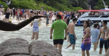 Рай на Тае. Инструкция по выживанию с китайцами