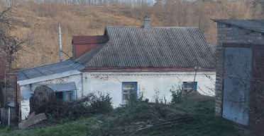 "Пейзажи, как в Карпатах": украинка купила гнилой дом в селе под Киевом