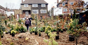 Пара купила 400-річний будинок і випадково знайшла те, про що не знали навіть минулі власники