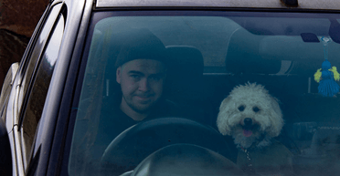 Гроза для врагов, терапевты для воинов: как животные помогают держать фронт (фото)