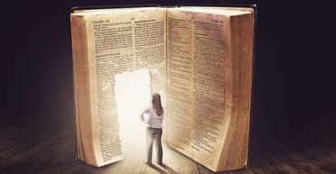 Библиотеки умирают. Да здравствуют литературные шоурумы