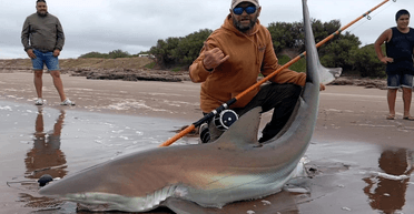 Зловив на вудку: рибалка близько години боровся з гігантською 90-кілограмовою акулою (фото)
