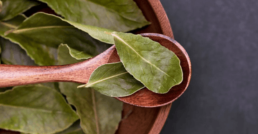 Корисні властивості лаврового листа: запобігає утворенню плісняви та врятує від комах