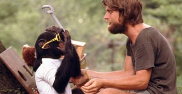 Лучшие охотники, пародисты и помощники: названы 10 самых умных видов животных (видео)