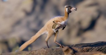 Вагою менше 1 кг: найменший динозавр у світі змусив переписати еволюцію