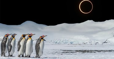 Землю ждет затмение "огненного кольца": лучшие места для наблюдения достанутся пингвинам