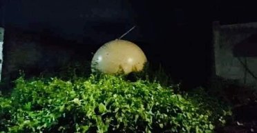 Драконье яйцо или метеозонд: в Мексике с неба упал таинственный шар (фото)