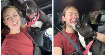 После 1043 дней в приюте: реакция собаки на новую опекуншу завирусилась в сети (фото)