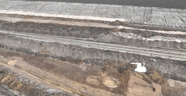 Оказался самым длинным в Европе: чешские археологи нашли курган возрастом 5300 лет (фото)