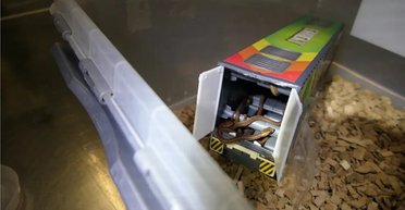 Таможенники в коробках с детскими игрушками нашли гнезда змей: подробности