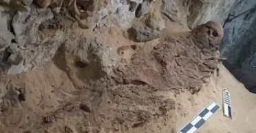 Новый потенциал: международная команда археологов сделала важное открытие в Саккаре