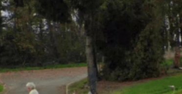 Тело пролежало под соседским садом 2 года: благодаря Google Maps раскрыли дело исчезновения женщины