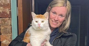 Зниклий безвісти кіт несподівано знайшовся за 480 км від дому: що з ним сталося (фото)