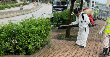 Новая эпидемия в Китае: вирус чикунгунья выявили уже у 7000 человек (фото, видео)