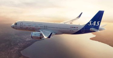 Літак здійснив екстрену посадку після того, як миша вистрибнула на пасажирку