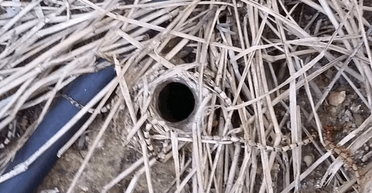 "Справжній жах під землею": австралійців налякала крихітна яма в саду