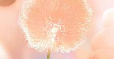 Pantone назвав головний колір 2024 року