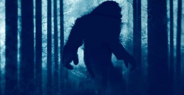 Старшокласники зустріли в лісі загадкову істоту "з очима, що світяться" і злякалися