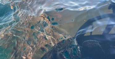 Огромное нефтяное пятно движется к оккупированному Крыму после аварии в Новороссийске