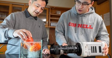 На 90% чистіше: розроблено революційний спосіб миття фруктів і овочів (відео)