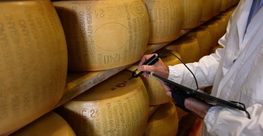 Виробники вставляють мікрочипи в сири: будь-хто може випадково їх проковтнути