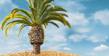 Добро пожаловали. Как украинский бизнес переживает торговую войну с Россией