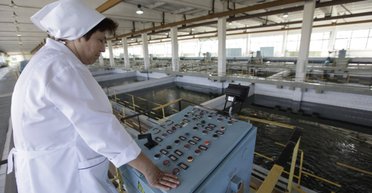 Як вимкнення світла впливає на якість води в Києві: відповідь експерта (відео)