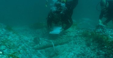 Люди подняли бунт: морские археологи исследовали обломки рабовладельческого судна 18 века