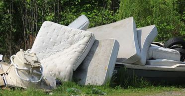 Боялась злодіїв: бабуся викинула матрац, в якому сховала 50 тисяч євро