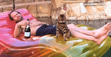 Кіт, який ходить по ресторанах, став зіркою власного телешоу (фото)