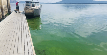 Може стати проблемою: озеро так сильно позеленіло, що його видно з космосу (відео)