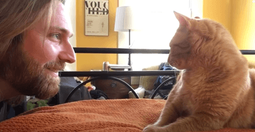 Господар не витримав: чоловік помстився своєму коту за ранні підйоми (відео)