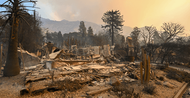 Ентоні Гопкінс та мама Бейонсе: повний список зірок, які втратили будинки через пожежу в Лос-Анджелесі (фото, відео)