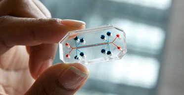 Сила думки. Як покращити життя за допомогою імплантованих у людину чипів