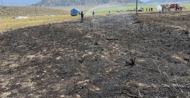 У Канаді риба, що впала з неба, знеструмила село і спричинила пожежу (фото)